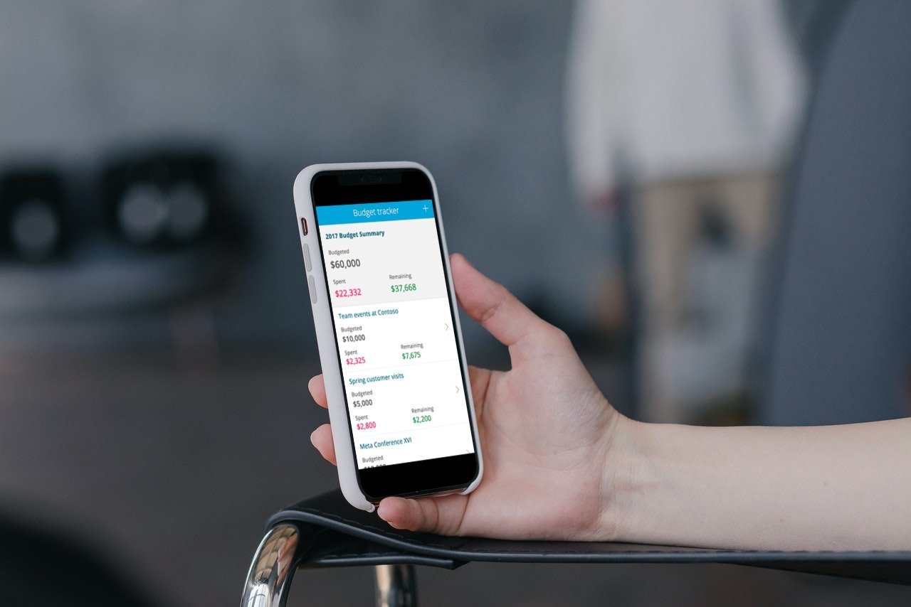 Power Apps Consulting Services Budget Tracker Power Apps Consulting Services Budget Tracker